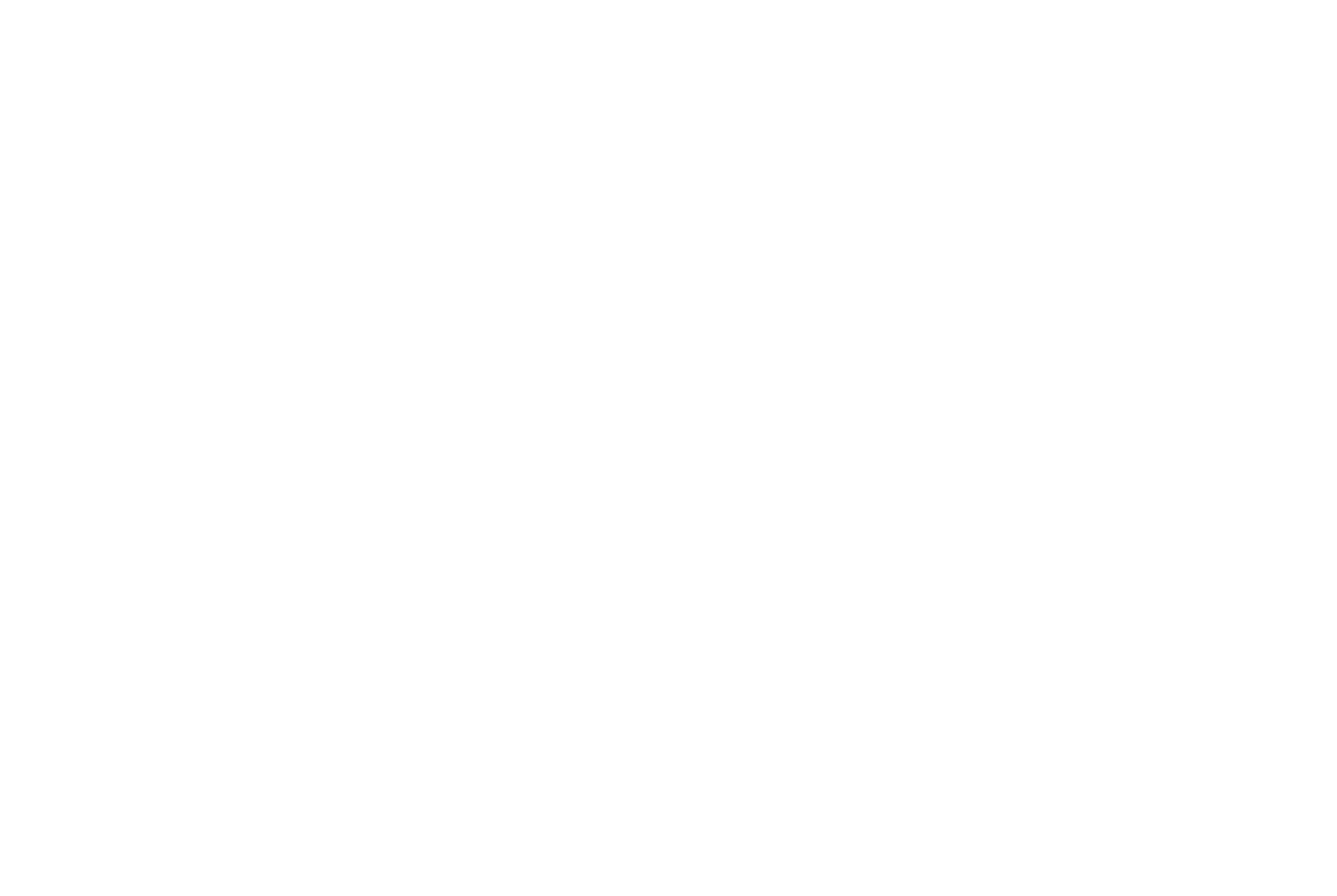 logo L&C Docs